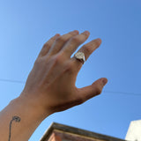 The Stone Roses Ring