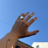 The Oval Signet