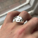 The Swiss Cheese Signet