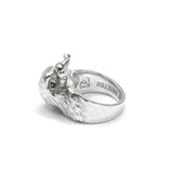 The Pigeon Ring