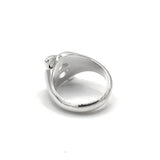 The Explorer Ring