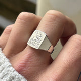 The Don Quixote Ring