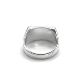 A Fight Club Ring (P)