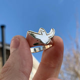 The Angel Ring